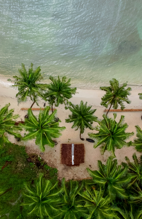 Coconut Beach 50 ml Perfume Oil Dropper – Sand + Fog