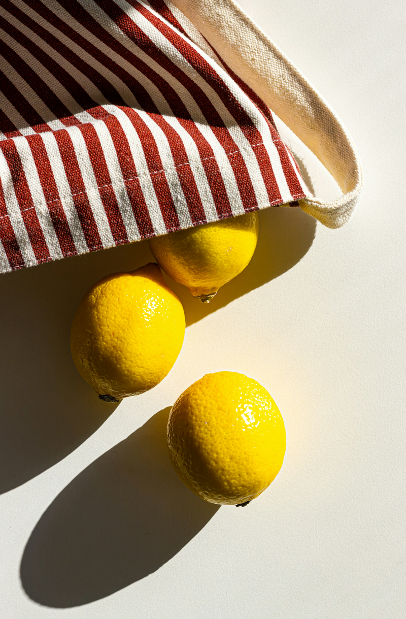 Sand + Paws California Citron 12 oz scented candle