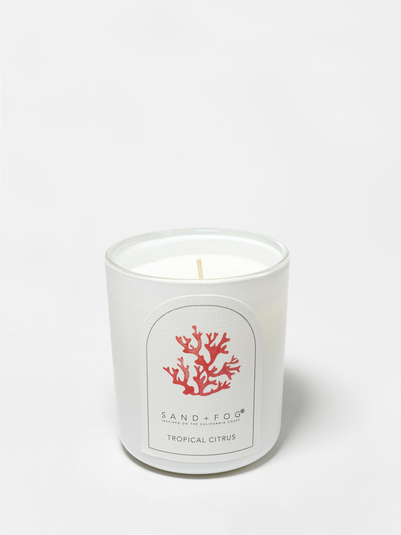 Tropical Citrus 10 oz scented candle