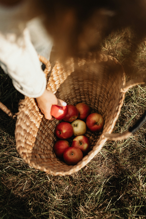 Apple Picking 12 oz scented candle